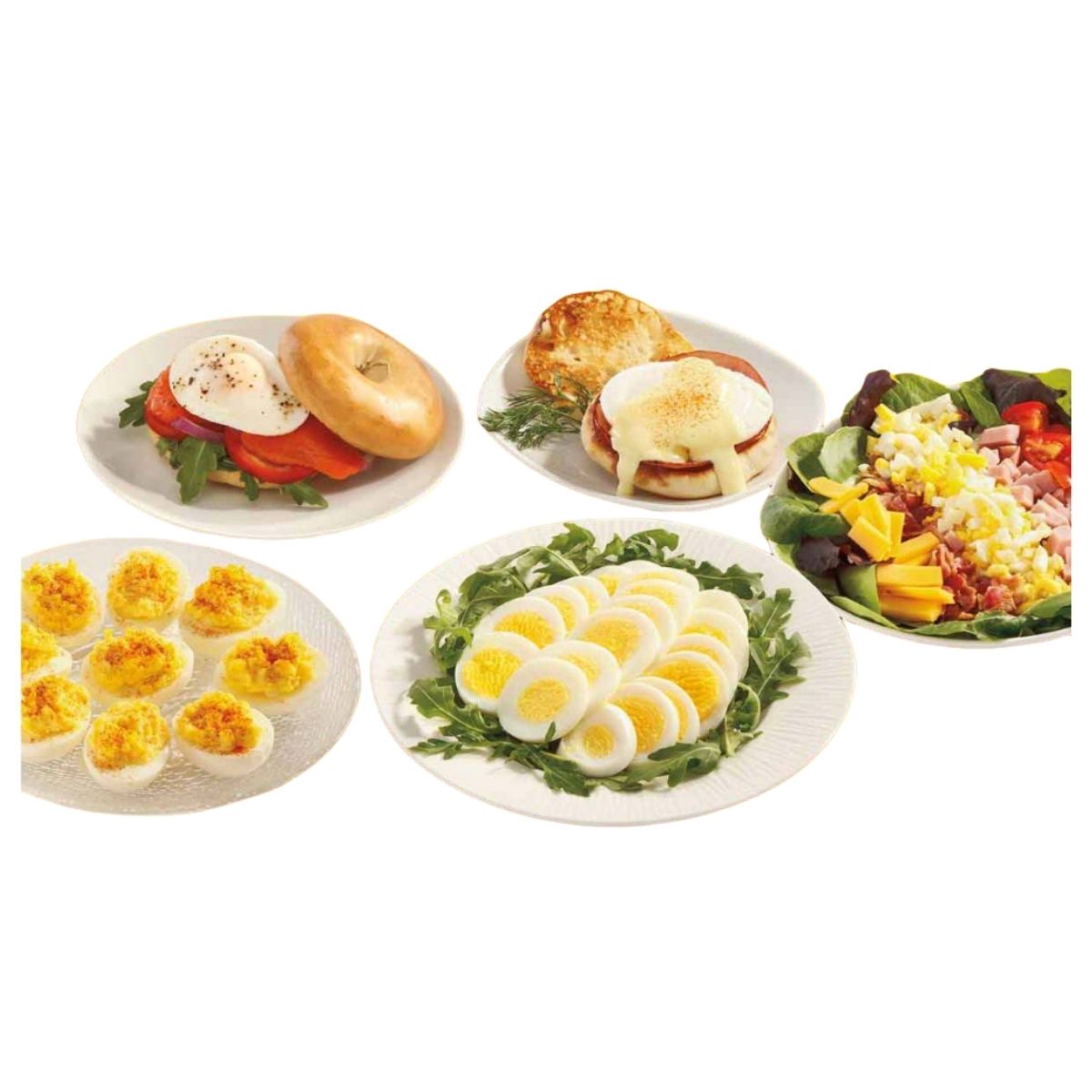 Egg Cooker Hamilton Beach 2 en 1, 25500 Hola Compras Tienda en Línea