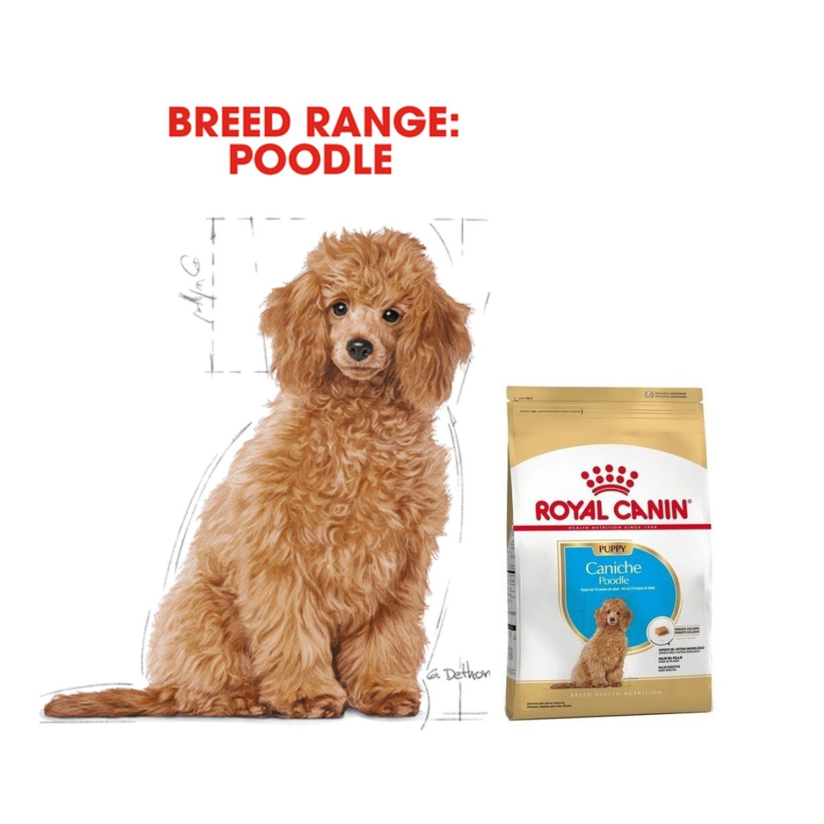 Alimento Royal Canin Poodle Puppy Hola Compras Tienda en Línea