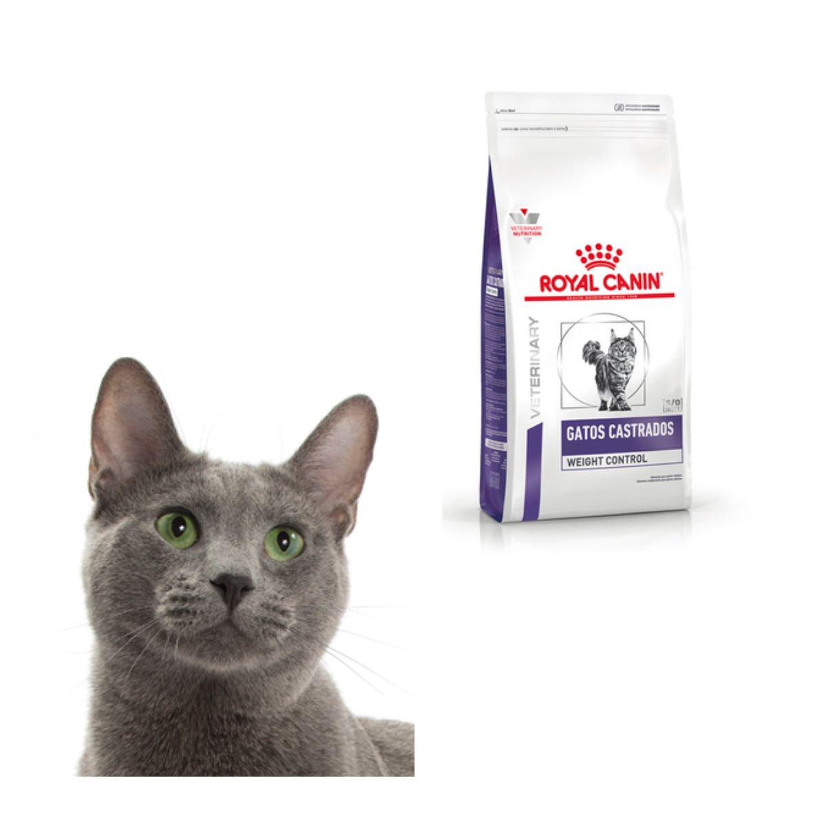 Alimento Royal Canin Gatos Castrados Hola Compras Tienda en Línea